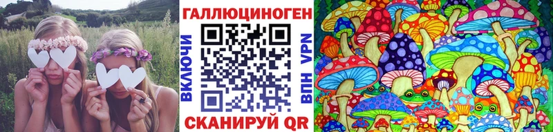 Купить где  Камызяк  Галлюциногенные грибы GOLDEN TEACHER 